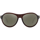 DANBY, Shiny Redish Brown-Mineral Polarized 555nm Cat 3 to 3, hi-res image number null